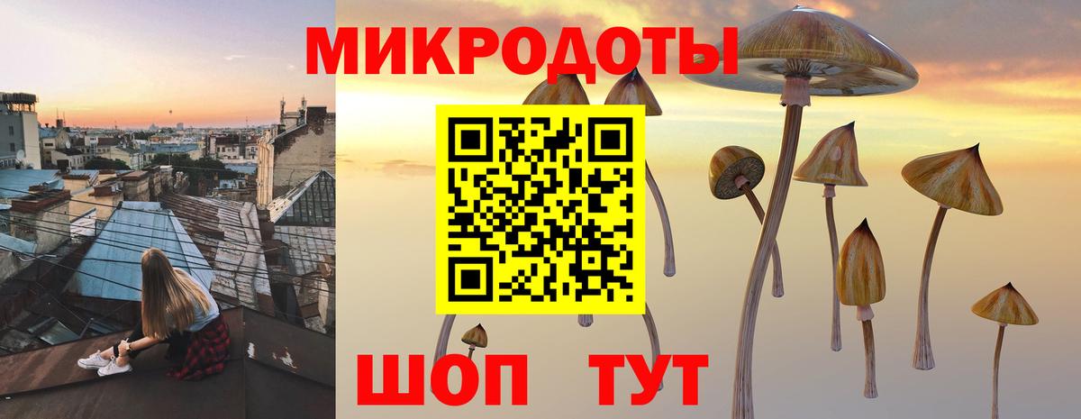 Псилоцибиновые грибы Magic Shrooms  Псилоцибиновые грибы GOLDEN TEACHER  Тула  Вход с VPN 